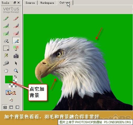 vertus fluid mask教程如何快速抠图?-图3 vertus fluid mask教程如何快速抠图?-图3