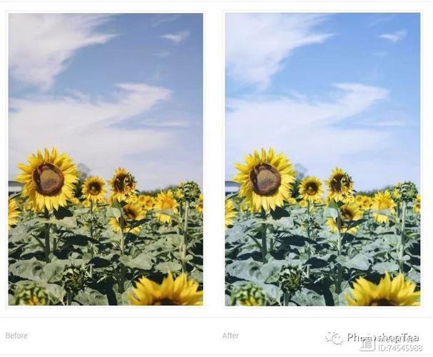Color Efex Pro 4教程，新手如何快速上手？-图2
