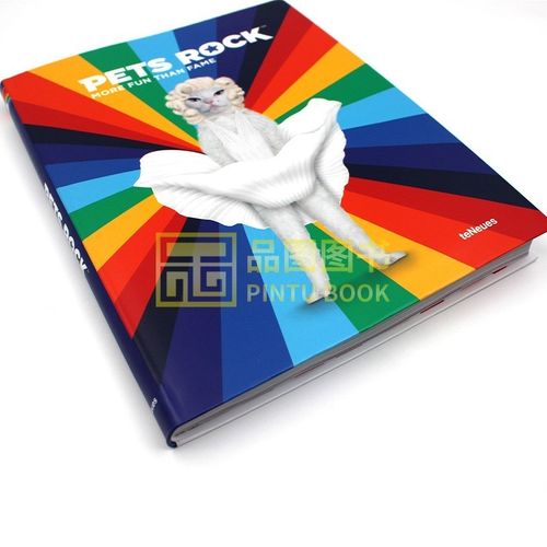 Pets Rock品牌中文名是什么?-图1 Pets Rock品牌中文名是什么?-图1