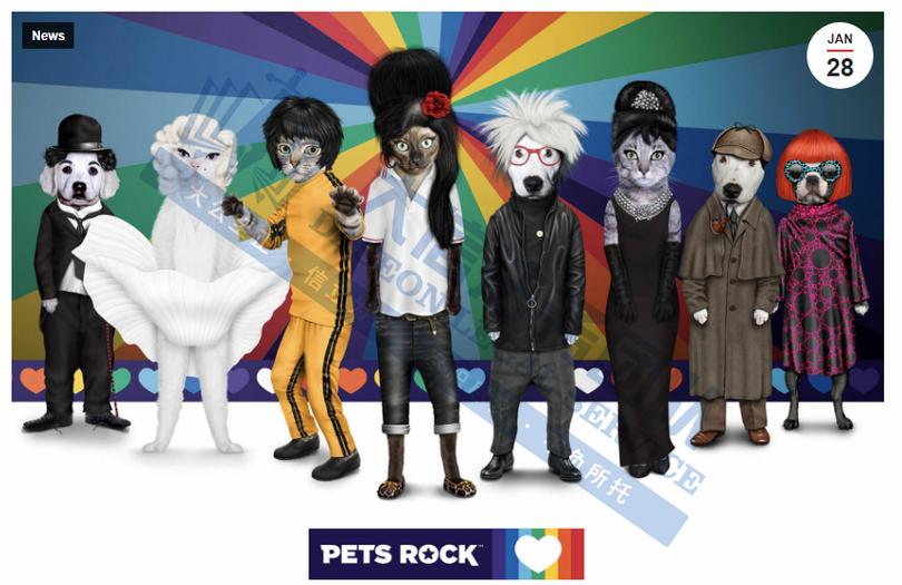 Pets Rock品牌中文名是什么?-图2 Pets Rock品牌中文名是什么?-图2