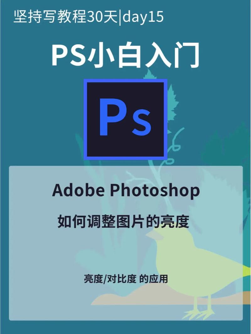 Photoshop CS3入门教程视频怎么学?-图2 Photoshop CS3入门教程视频怎么学?-图2