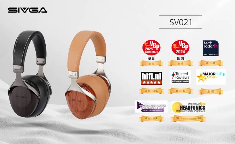 2025年HIFI品牌排行,谁是真正王者?-图1 2025年HIFI品牌排行,谁是真正王者?-图1