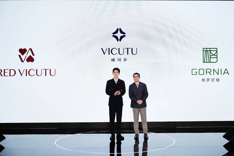 Victsing是什么品牌？-图1