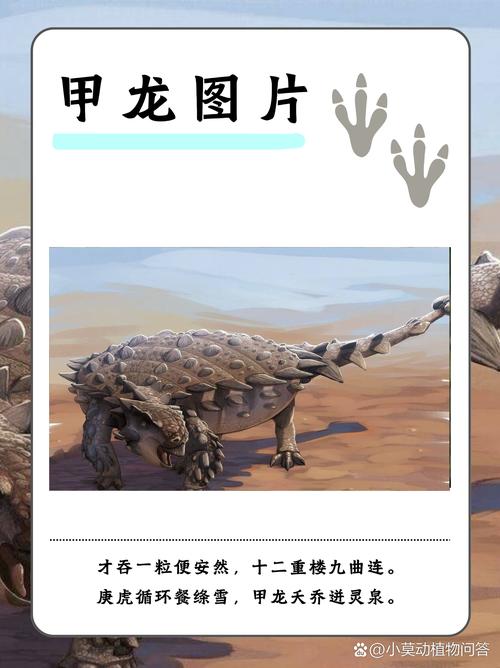 Dragonframe教程，从入门到精通怎么学？-图1