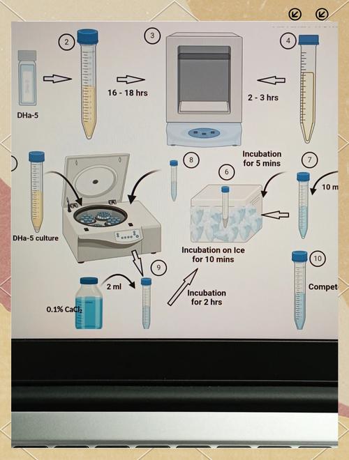 Process Monitor教程如何快速上手排查问题?-图3 Process Monitor教程如何快速上手排查问题?-图3