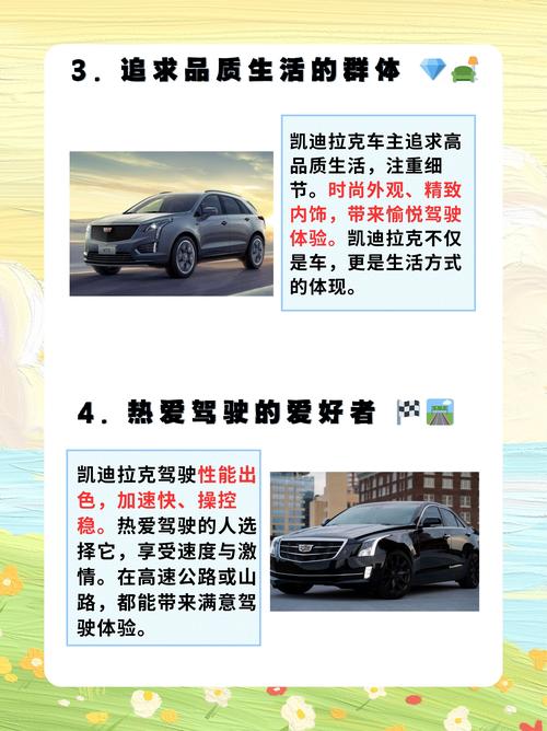 Novadown是什么品牌?-图2 Novadown是什么品牌?-图2