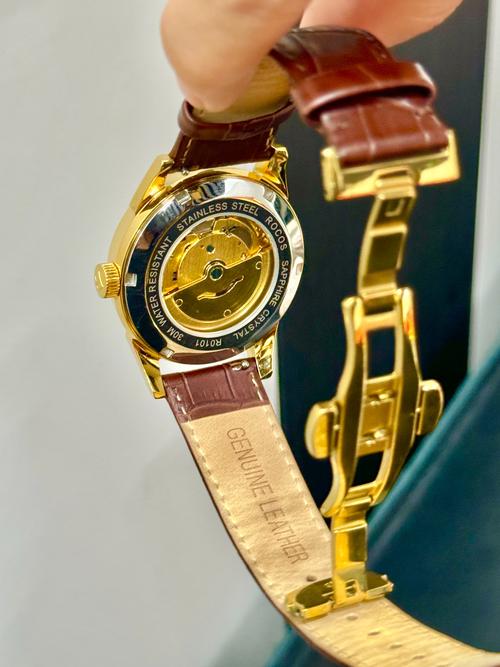 goidiion是何国品牌?主营什么产品?-图1 goidiion是何国品牌?主营什么产品?-图1