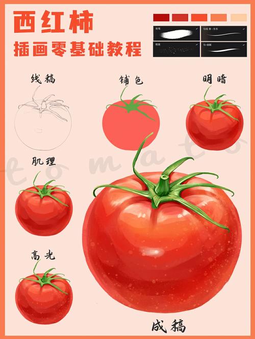 tomato multiwan 教程-图2