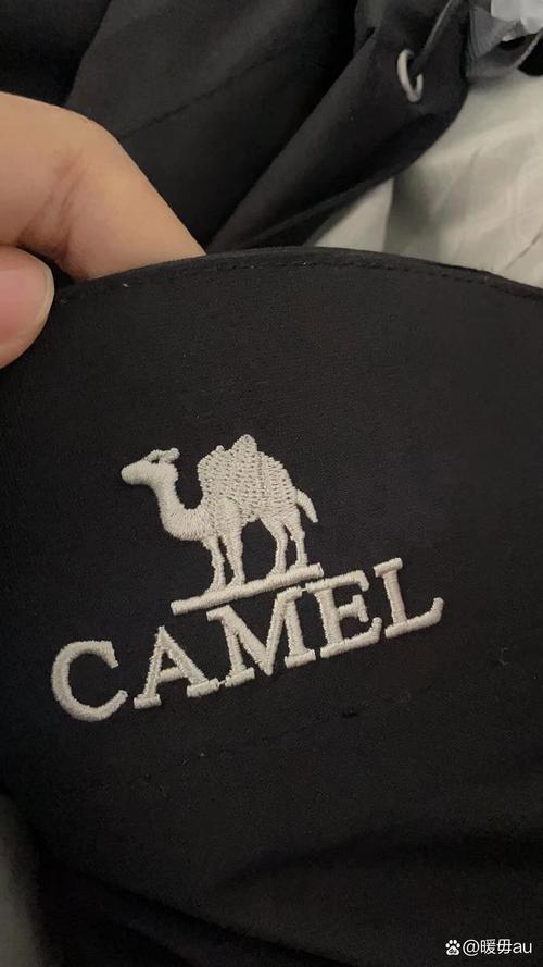 camel crown品牌-图1 camel crown品牌-图1