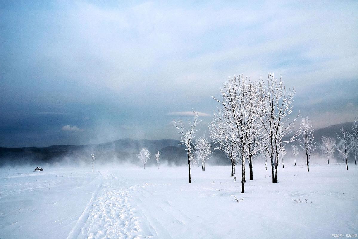 2025互联网寒冬，为何公司纷纷过冬？-图3