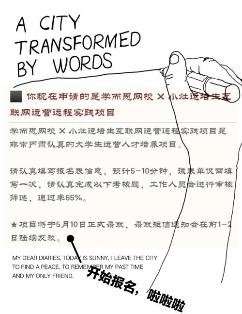 Review Assistant教程如何高效使用？-图2