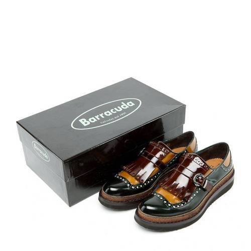 Barracuda是什么品牌?-图1 Barracuda是什么品牌?-图1