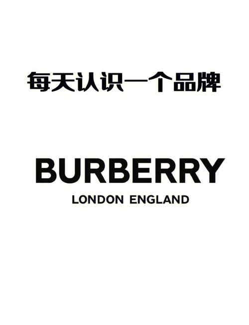 Burberry品牌如何保持经典与创新的平衡？-图2