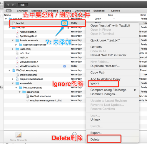 Cornerstone SVN教程,新手如何快速上手?-图3 Cornerstone SVN教程,新手如何快速上手?-图3