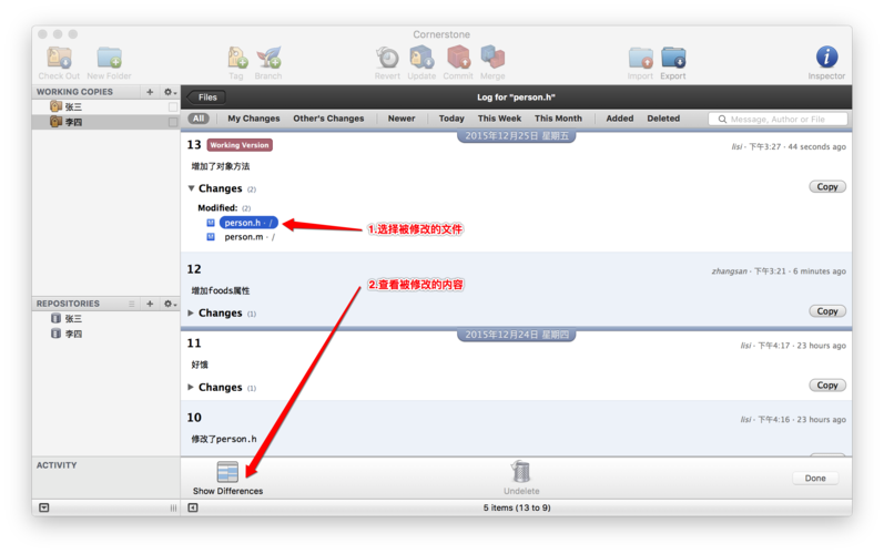 Cornerstone SVN教程,新手如何快速上手?-图2 Cornerstone SVN教程,新手如何快速上手?-图2