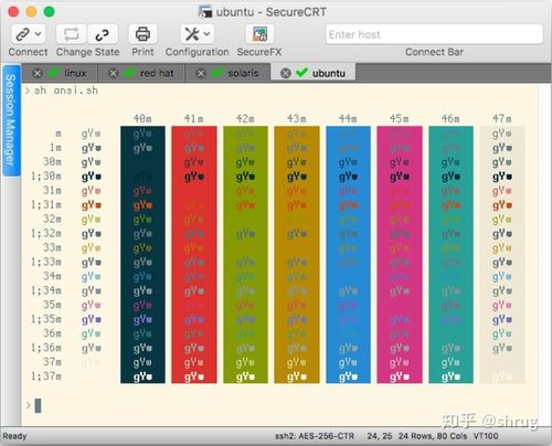 securecrt telnet教程-图2