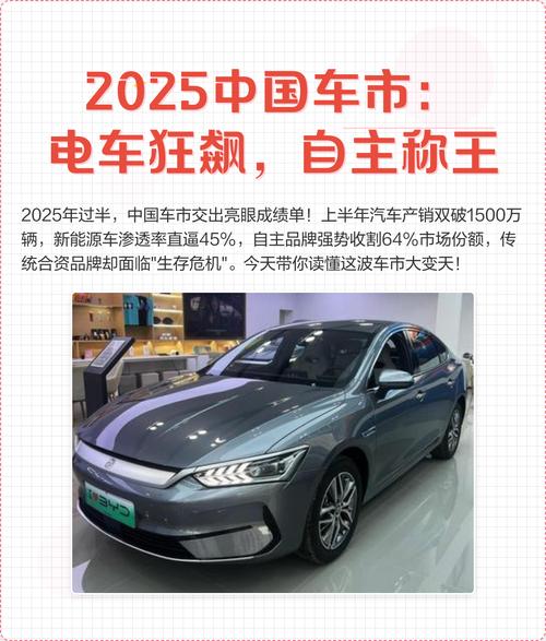 2025全国汽车互联网-图2
