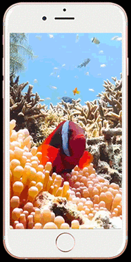 Enable Live Photos怎么用？-图1