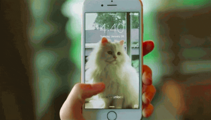 Enable Live Photos怎么用？-图3