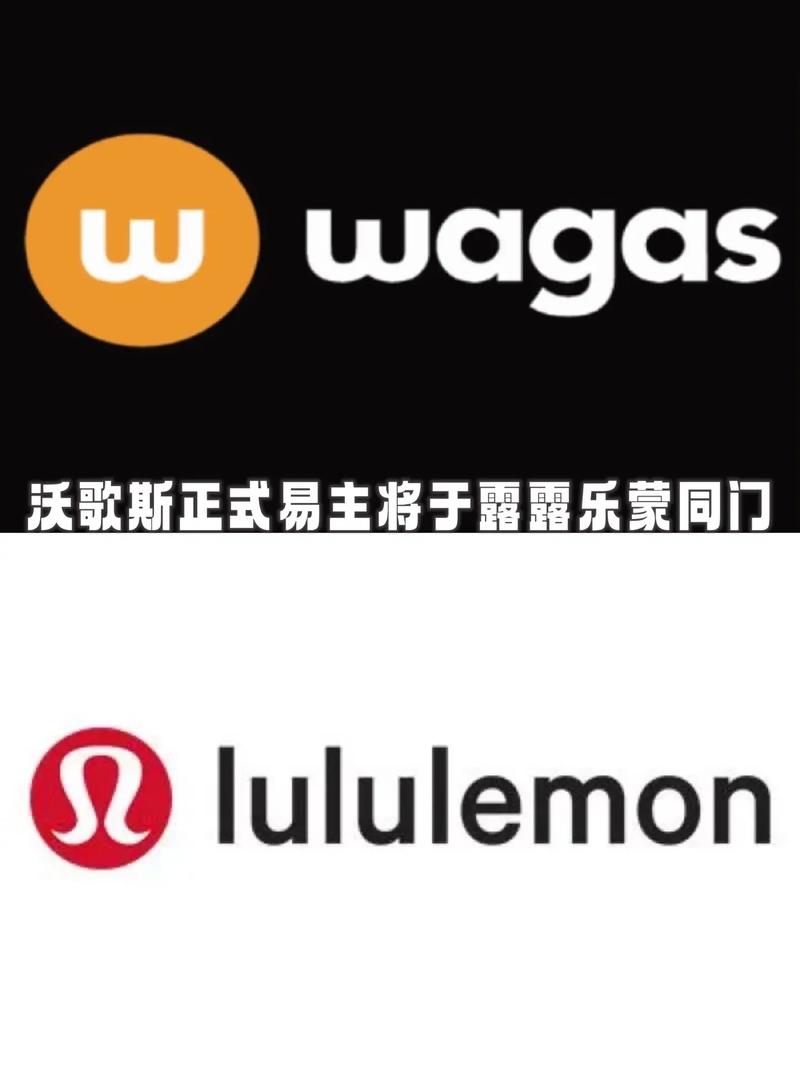 wacaco那个国家的品牌-图1 wacaco那个国家的品牌-图1