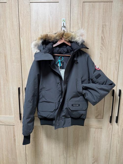 加拿大羽绒服品牌goose为何如此受追捧？-图1