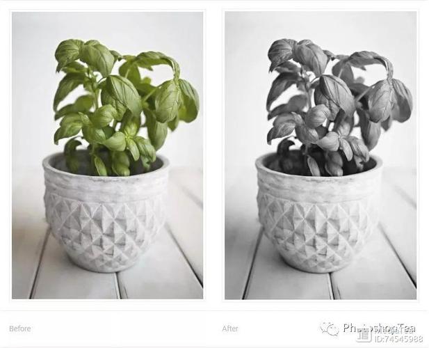 color efex pro 4教程-图1