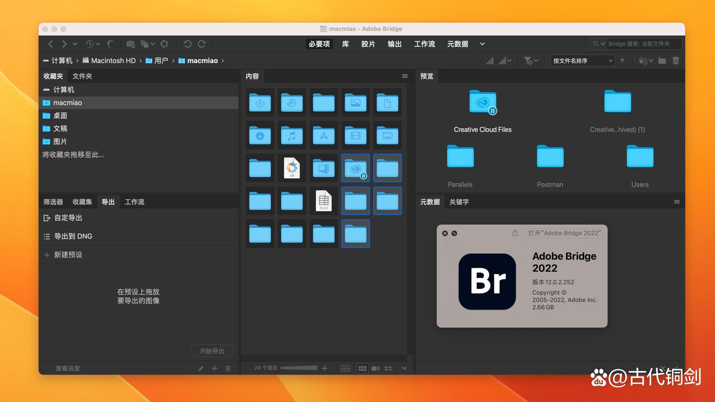 Adobe Bridge CS6教程怎么学？快速上手技巧有哪些？-图3
