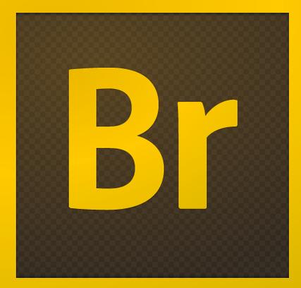 Adobe Bridge CS6教程怎么学？快速上手技巧有哪些？-图1