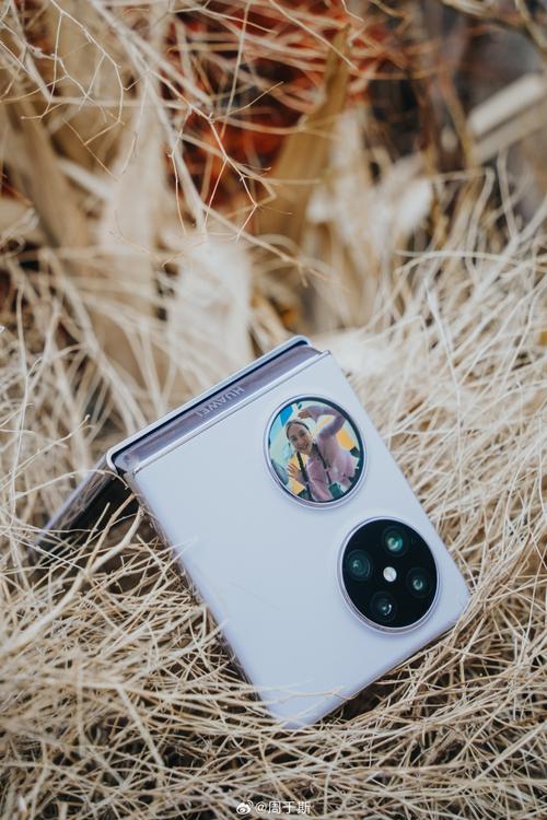 手机拍照哪家强?-图1 手机拍照哪家强?-图1