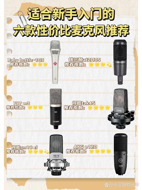 唱吧专用麦克风品牌排行榜-图2 唱吧专用麦克风品牌排行榜-图2