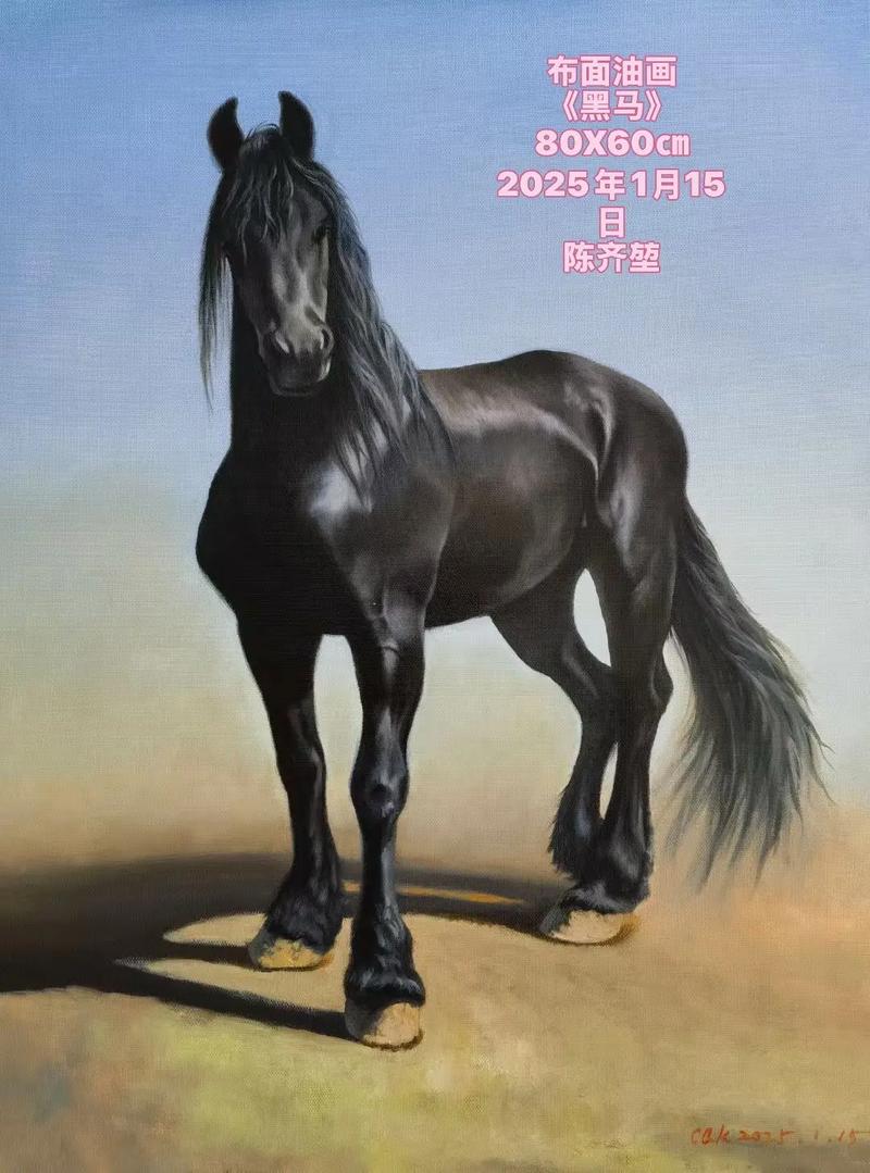 2025年互联网黑马是谁?为何能脱颖而出?-图3 2025年互联网黑马是谁?为何能脱颖而出?-图3