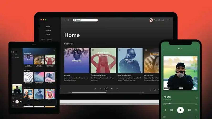 spotify教程 premium-图2