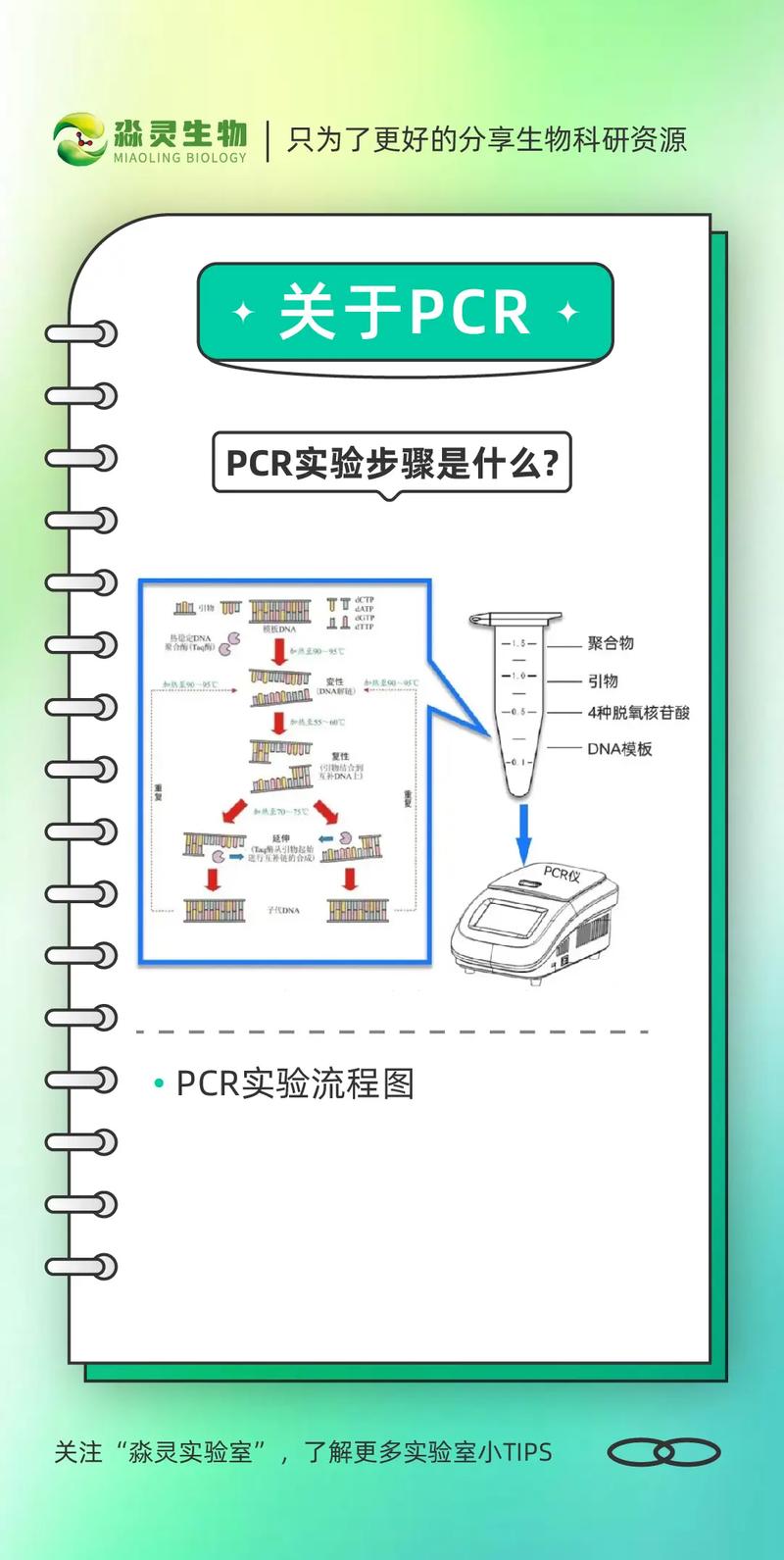 TypeScript 2.0 教程，核心升级点有哪些？-图2