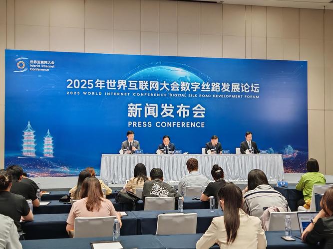 2025全球互联网排名，哪些国家领跑？-图3