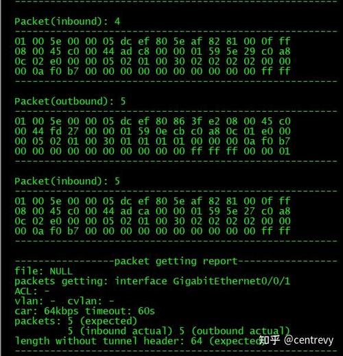 Packet capture教程，如何抓取并分析网络数据包？-图2
