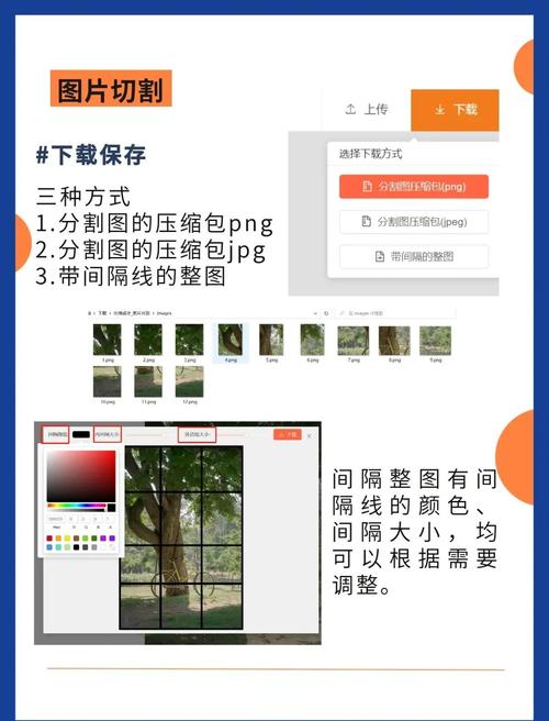 SnapGene Viewer教程如何快速上手?-图3 SnapGene Viewer教程如何快速上手?-图3