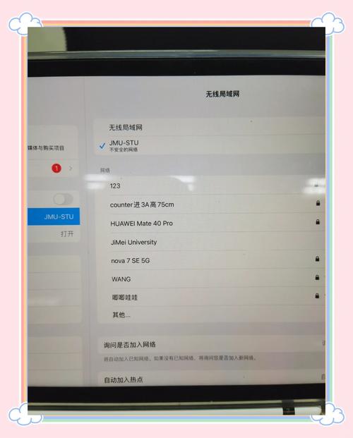 iPad如何联网？Wi-Fi/蜂窝网设置步骤是什么？-图1