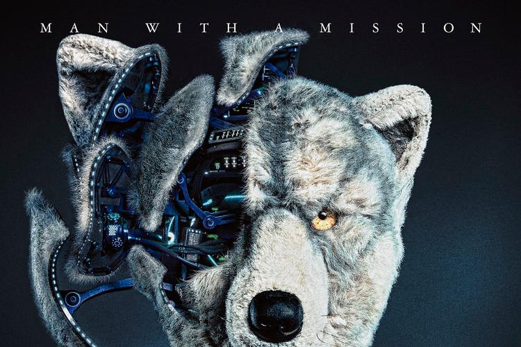 myqeno是什么品牌？-图3