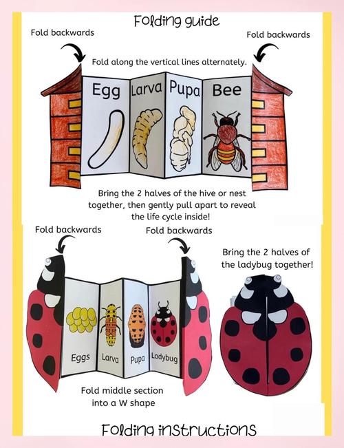 Fundy Designer教程从哪开始学？-图3