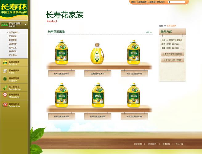 公司品牌Flash网站如何提升用户体验？-图1