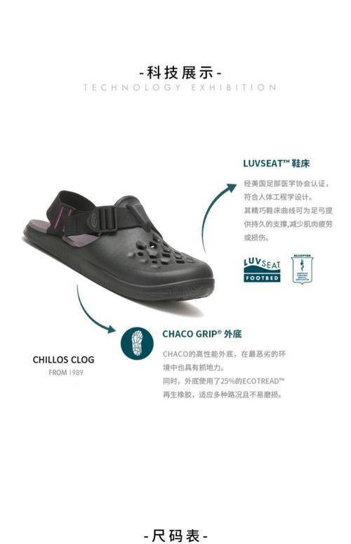 Clorox是哪个国家的品牌？-图2