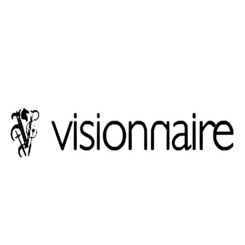 Vision注册的品牌有哪些?-图2 Vision注册的品牌有哪些?-图2