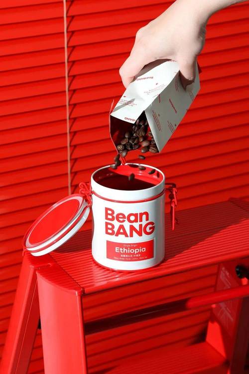 Bangho是哪个国家的品牌?-图2 Bangho是哪个国家的品牌?-图2