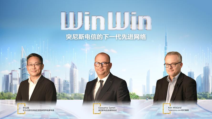 Skywin是什么品牌?-图3 Skywin是什么品牌?-图3