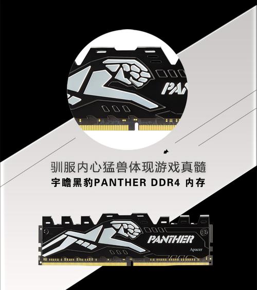 Apacer是哪个品牌的?-图3 Apacer是哪个品牌的?-图3