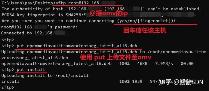 OpenMediaVault 教程，新手如何快速上手？-图2
