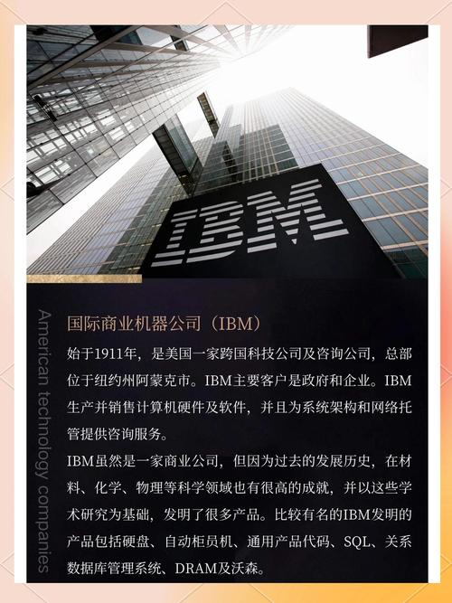 美国互联网版权公司如何保护数字内容权益？-图2