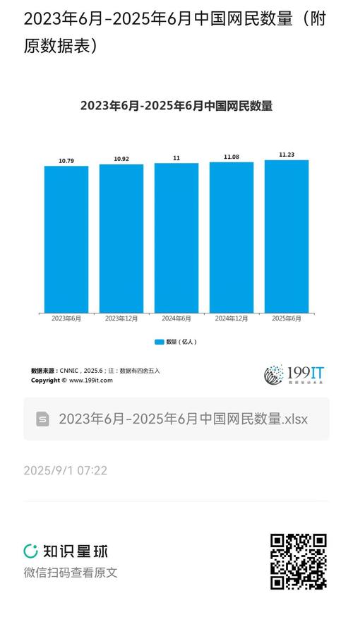 2025互联网使用数据将如何重塑生活?-图1 2025互联网使用数据将如何重塑生活?-图1