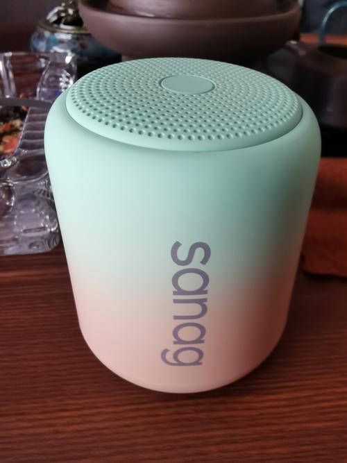 蓝牙迷你音箱品牌怎么选？-图2