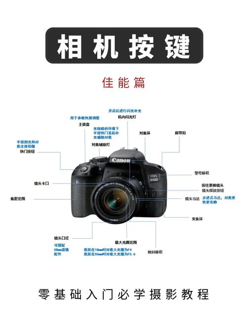 佳能600d新手怎么玩转单反？-图1